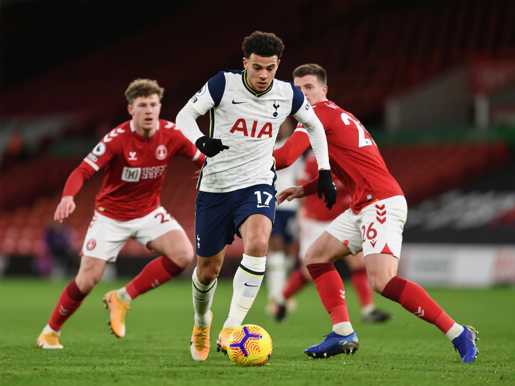 了一个全新 了一个全新